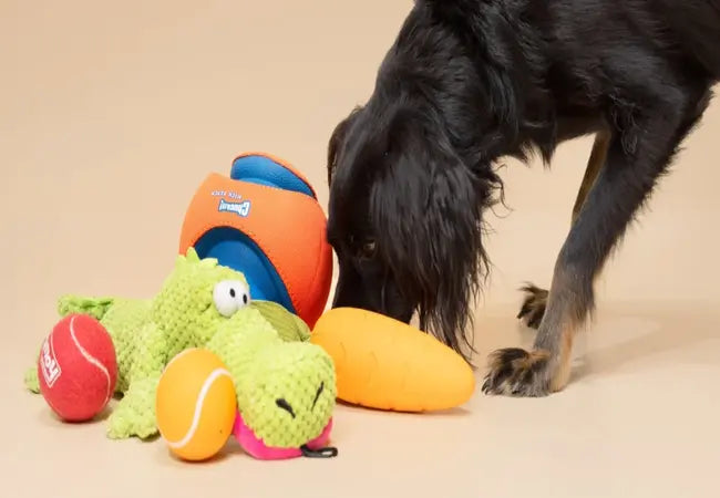 The Ultimate 2025 Dog Toy Guide: Safety-Tested Favorites 🧸🐕