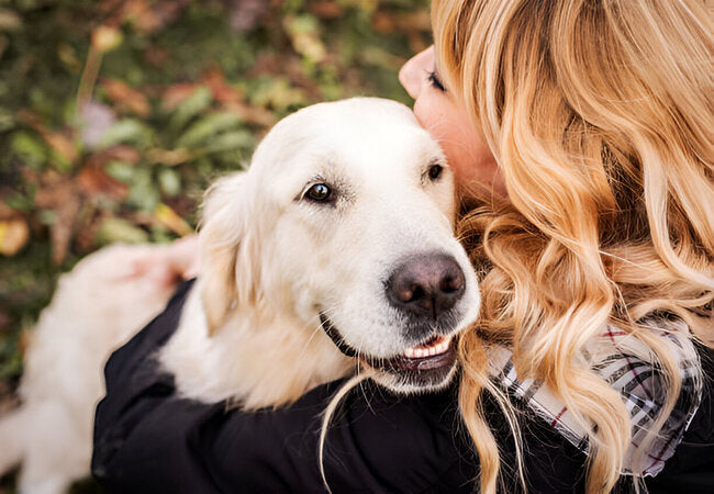 You’re Not a Bad Pet Parent If Your Dog Doesn’t Like to Cuddle in 2025 – Vet‑Approved Insights & Compassionate Guidance 🐶💤