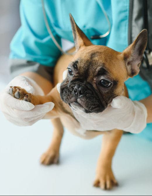 Dr. Duncan with a patient