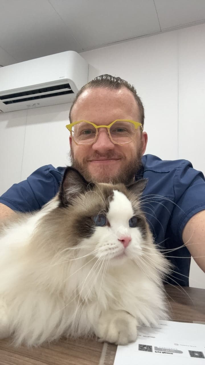 A veterinarian in scrubs with a ragdoll cat