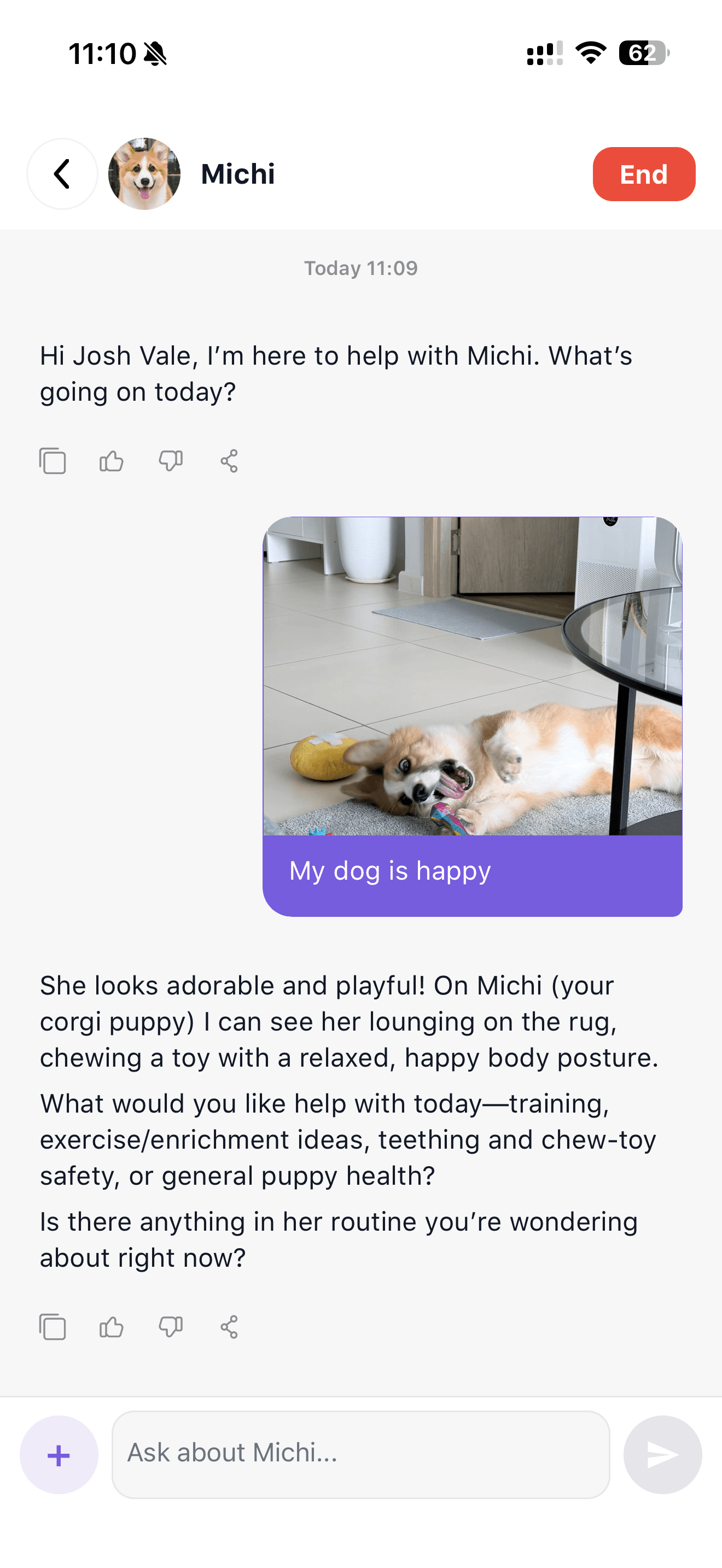 ASK A VET app — vet chat
