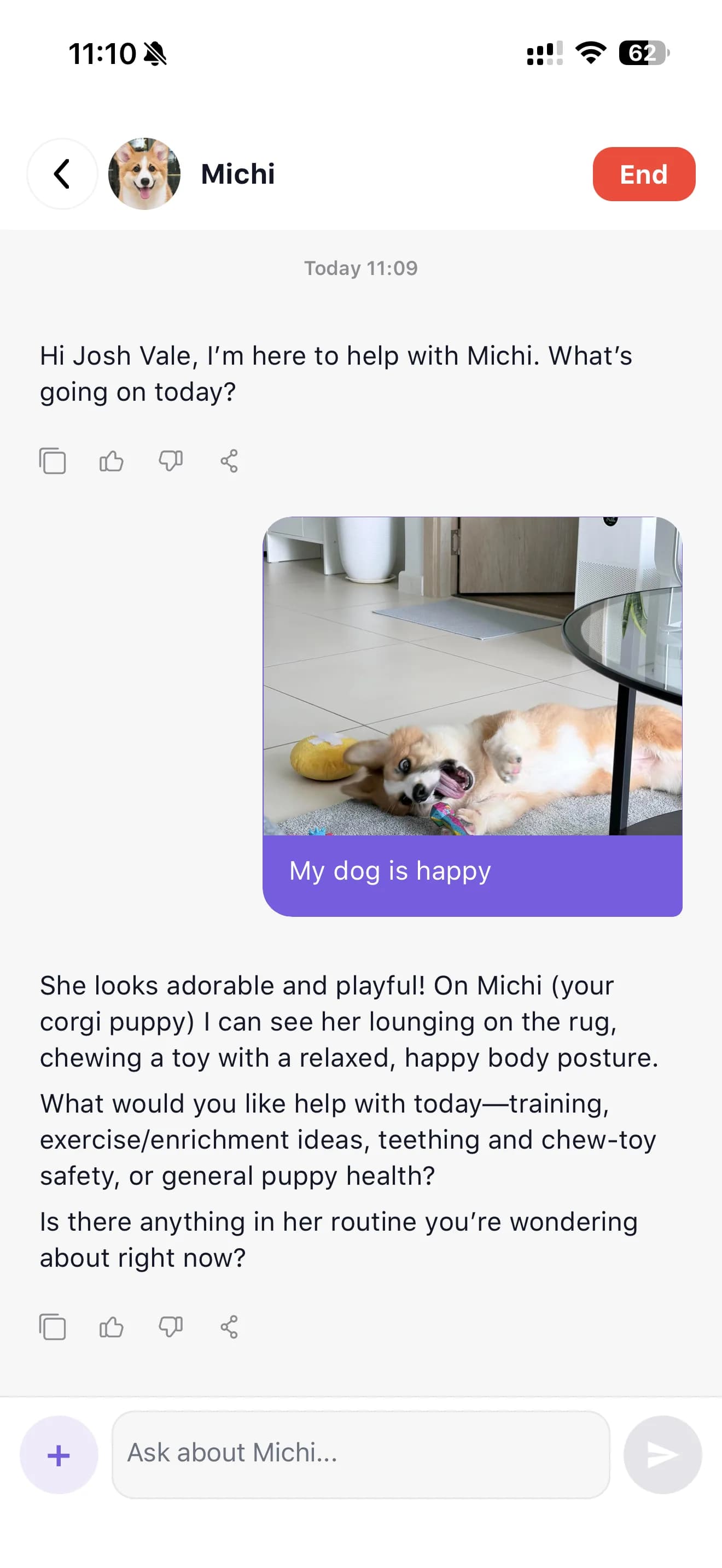ASK A VET app — vet chat