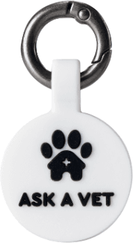 White Smart ID Tag