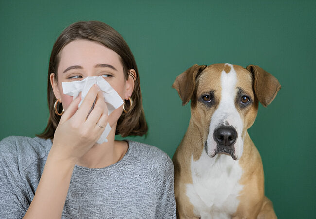 2025 Vet Guide: Bad Breath in Dogs – Causes, Diagnosis & Freshening Tips 🐶🦷