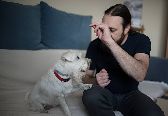 2025 Vet Insight: Why Dogs Smell Bad—Expert Guide by Your Trusted Vet 🐶🩺