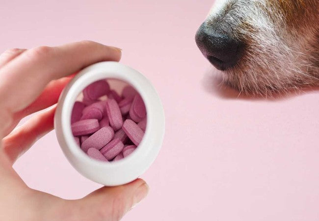 Picture of Giving Benadryl to Dogs in 2025: Vet‑Reviewed Safety, Dosage & Precaut ...
