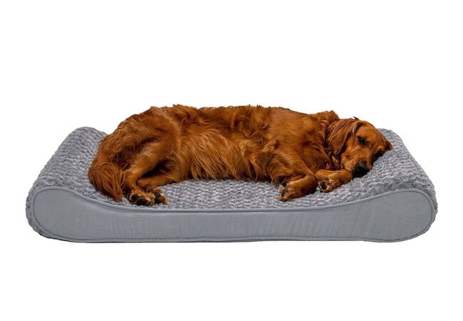 Orthopedic Beds for Senior Dogs: 2025 Vet-Approved Comfort Guide 🐕🛏️