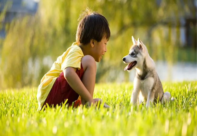 Can Dogs Teach Kids Responsibility? A Vet-Approved Guide for 2025 🧒🐶