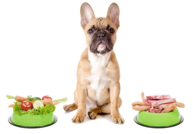Can I Share My Food with My Dog?