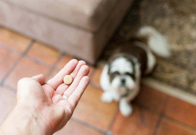 Cosequin vs Dasuquin 2025: Vet Guide to Choosing the Right Joint Supplement 🦴🐕