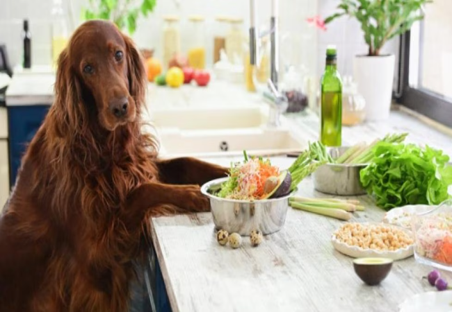 Do I Need to Add Supplements to Home-Cooked Dog Food?