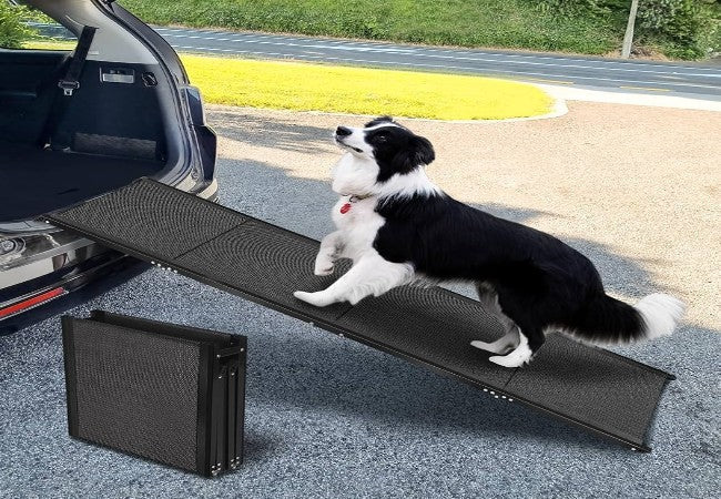 Do You Need a Dog Ramp in 2025? Vet Guided Help for Mobility & Safety 🐶🛤️