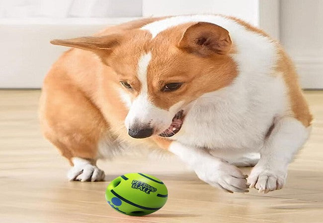 Dog Enrichment Toys & Games 2025: Vet Approved Brain, Bond & Calm 🐶🧩🩺