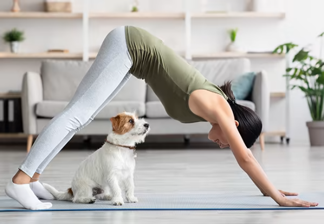 Doga: A Vet Approved Guide to Yoga with Your Dog in 2025 🧘‍♀️🐶