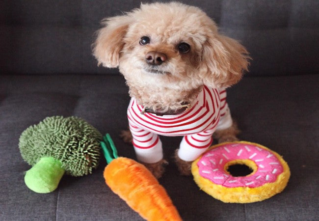 Food Allergies in Dogs 2025: Vet Approved Detection & Treatment 🍽️🐶