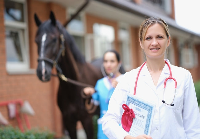 Horse Health Certificates 2025: Veterinary Guide 🩺🐴