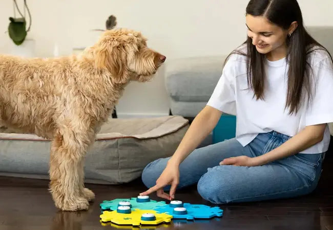 How Do Talking Dog Buttons Work in 2025 – Vet‑Approved Guide to Canine Soundboard Communication 🐶🔘