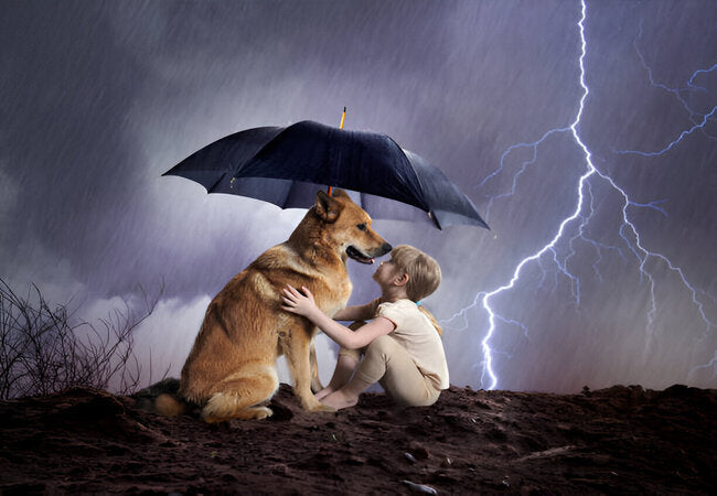 How to Help Dogs with Noise & Thunderstorm Phobias in 2025 – Vet‑Approved Anxiety Guide 🐶⚡️