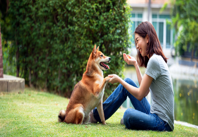 How to Safely Greet Strange Dogs: A Vet Approved Guide for 2025 🐶🐾
