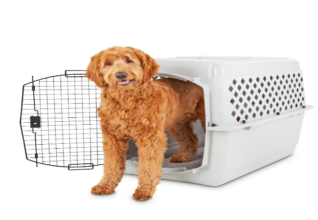 Make Your Dog’s Crate Feel Like Home in 2025: Vet’s Guide 🏠🐶