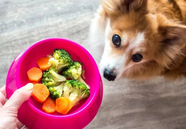 Natural Dog Food in 2025: A Vet’s Guide to Choosing Whole‑Food and Homemade Diets 🐾🌱
