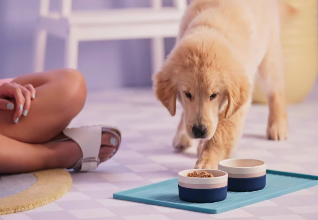 Natural Feeding for Puppies