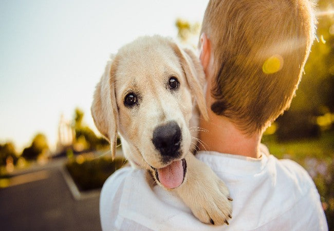 Pets & Your Love Life: A Vet-Approved Guide for 2025 💘🐶🐱