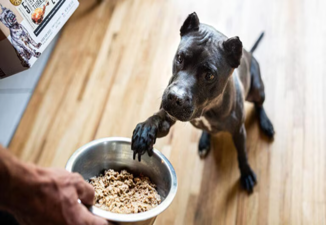 Safe Treats for Dogs on a Natural Diet 2025: Vet Approved Options 🐶✨