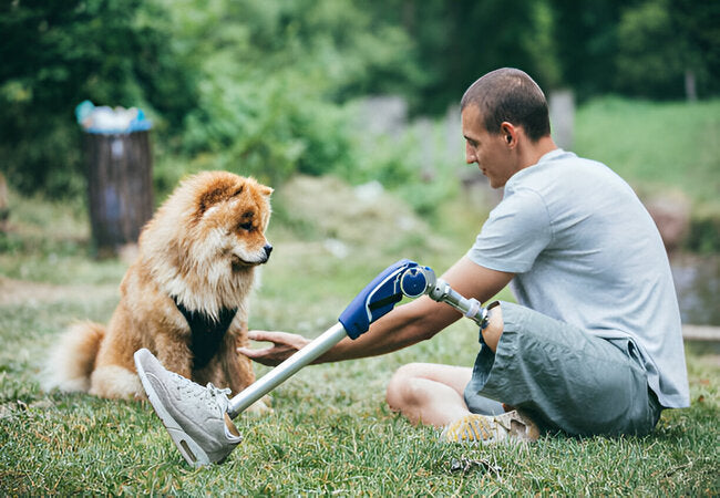 Training Tips to Strengthen Your Bond With Your Dog in 2025 – Vet‑Approved Guide 🐶❤️