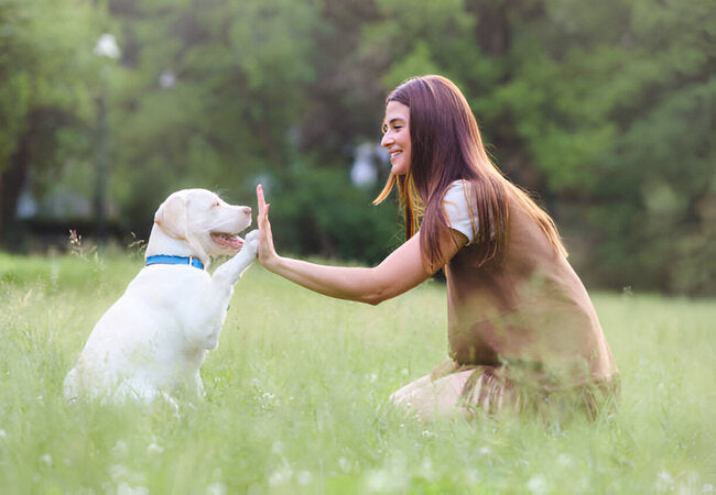 The Power of Praise: Encouraging Good Behavior in Dogs—Vet Guide 2025 🐾