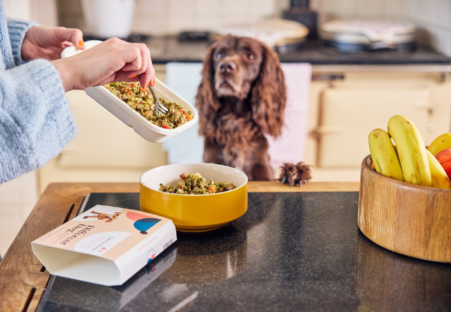 Transition Your Dog to a Natural Diet 2025: Avoid Digestive Upset 🐶✨