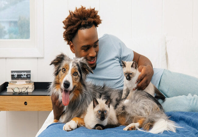 Understanding Primary Ciliary Dyskinesia in Dogs | Veterinary Guide 2025 🩺🐾