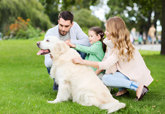 Vet‑Approved 2025: 3 Essential Commands for Visiting Family 🐶👪