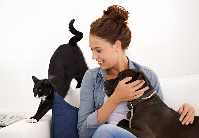 Vet‑Approved 2025: Why It’s Totally Normal to Talk to Your Pets 🗣️🐾