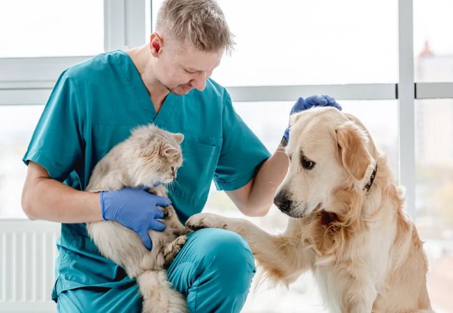 Vet Approved Guide: How to Find a Veterinarian Near You – Tips for Every Pet Parent (2025)🩺🐶