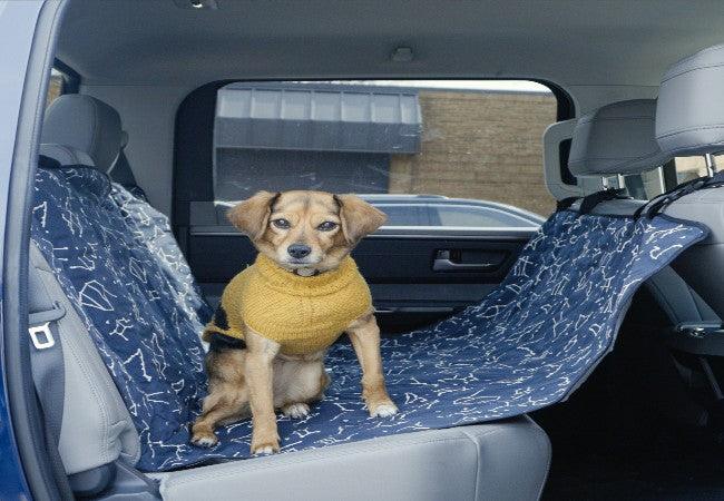 Vet Approved Guide: Choosing the Right Dog Car Seat Cover in 2025 🐶🛡️