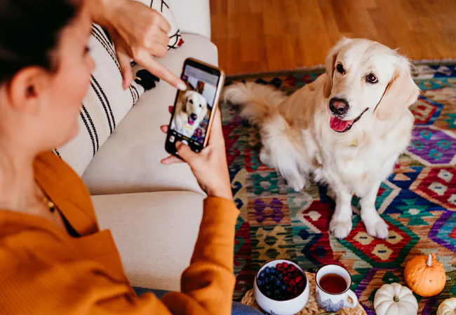 Vet Approved Guide: How Social Media is Revolutionizing Pet Adoption in 2025 🐾📱