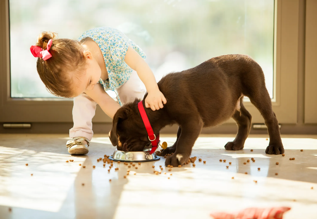 Vet Approved Guide: How to Get Children Involved in Pet Care in 2025 🧒🐶