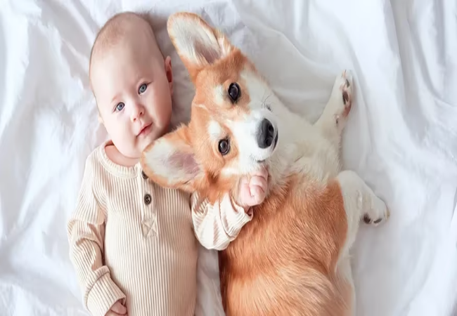 Vet Approved Guide to Introducing Babies to Pets: Ensuring a Safe and Loving Bond in 2025 👶🐶