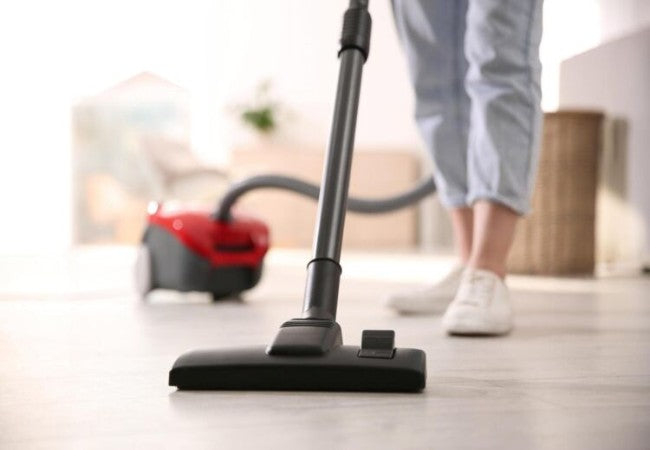 Vet Approved Guide to Understanding and Overcoming Vacuum Anxiety in 2025 🐶🐾