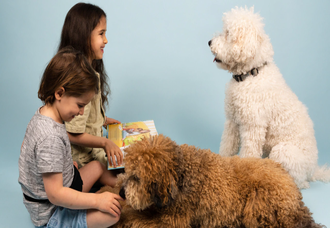 Vet Guide: Understanding & Managing Your Dog's Discomfort Around Children 2025 Edition 👶🐶