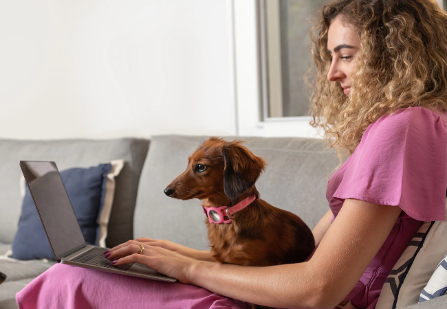 Vet Guide to 2025: Why In‑Home Pet Sitters Are the Best Boarding Choice 🐶🩺