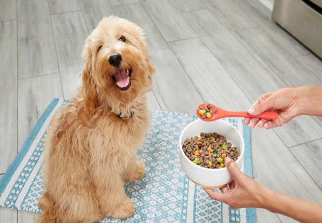 Weekly Feeding Plan for Dogs 2025: Using Natural Foods 🐶✨