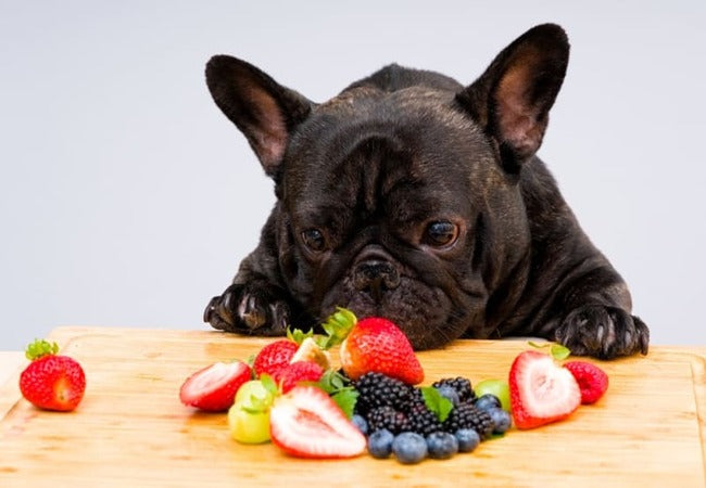 What Fruits Can Dogs Eat? A Vet’s 2025 Guide 🍎🐶