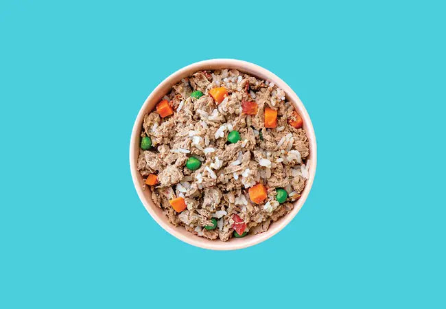 What Is Human‑Grade Dog Food? A Vet’s Guide for 2025 🐶🍽️