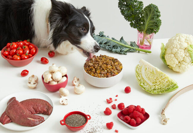 What Is Natural Dog Food? A Vet’s Complete Guide for 2025 🌿🐶