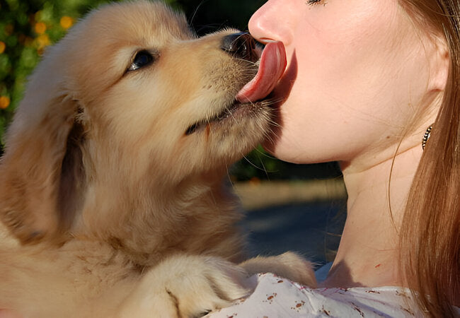 Why Dogs Lick Your Face in 2025 – Vet‑Reviewed Insights & Tips 🐶💋