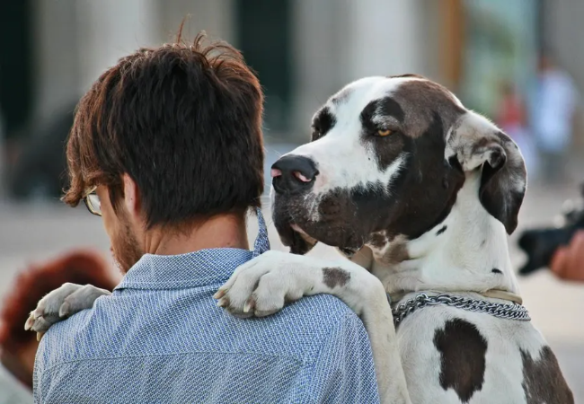 Why Some Dogs Hate Hugs – Vet Explains the Science of Canine Consent🐶✨