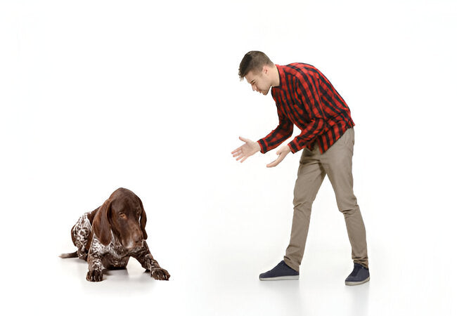 Why Your Behavior May Be Causing Your Nervous Dog—Vet Guide 2025 🐕‍🧠