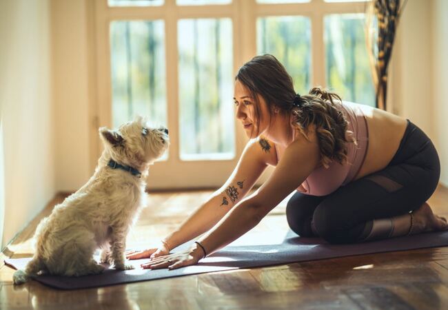 6 Fun Exercises for Dogs: 2025 Vet-Approved Workout Guide 🐕💪